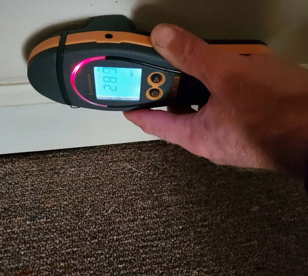 Moisture detection at baseboard during Sewage Cleanup & Sanitation in Olyphant